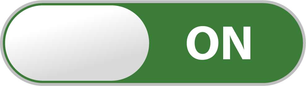 Toggle switch in on state